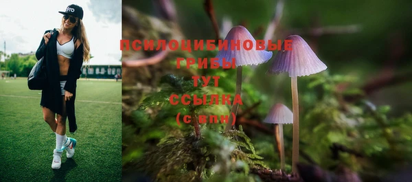 скорость Нея