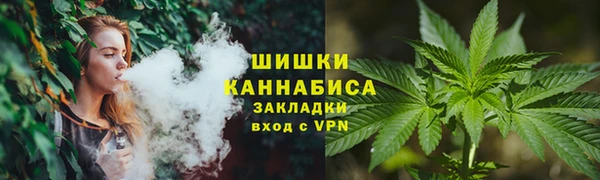 трава Абаза