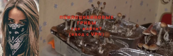МДПВ Нефтегорск