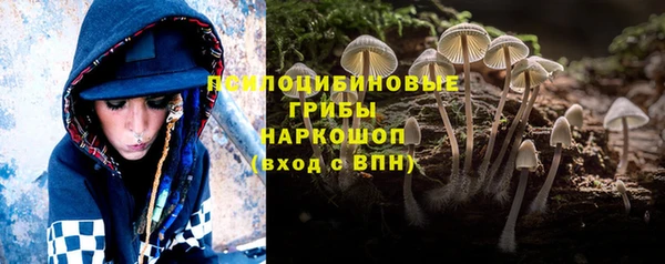 скорость Нея